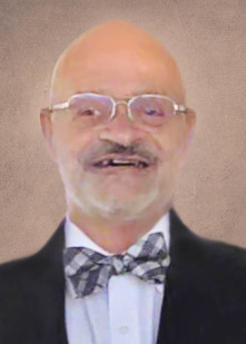 M. Michel Perron