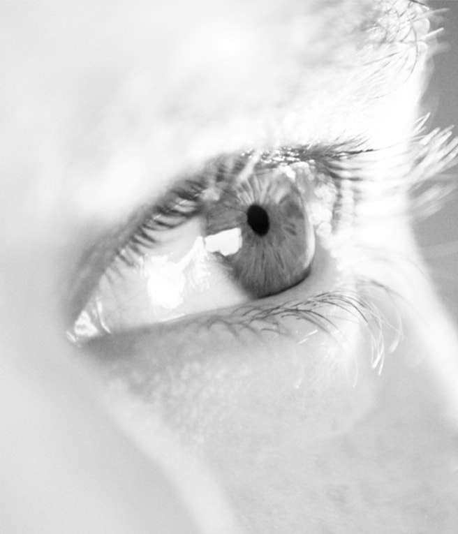 Nouvelles & événements