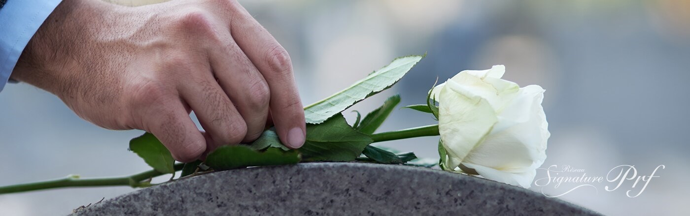 Bannière section Notre signature